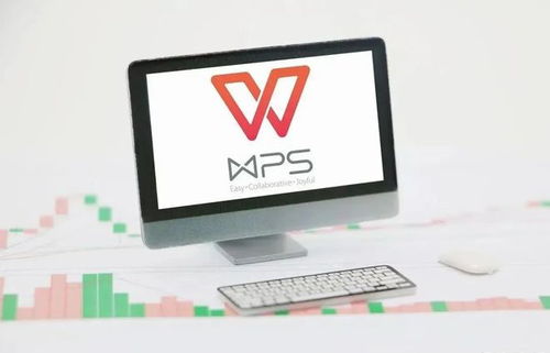 wps升级后如何轻松回退至旧版本 详细指南助你无忧切换